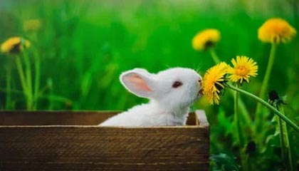 每周股票复盘:海螺水泥(600585)将召开2025年半年度业绩说明会