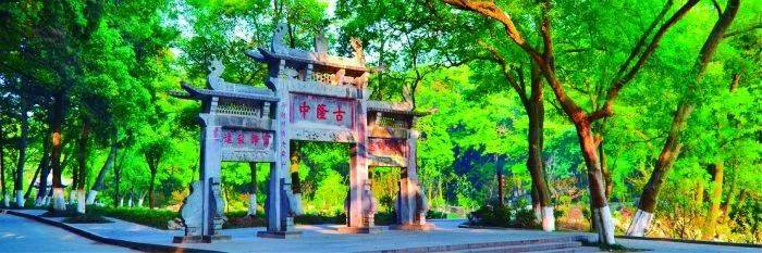 央媒看襄丨《上海证券报》 整版聚焦：襄阳之“Lian”