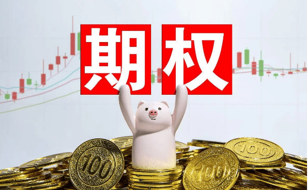 个股期权和股票期权的区别有啥区别?
