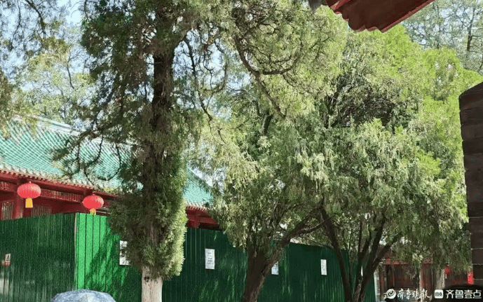 少林寺新变化:推行“佛门996”后数十个和尚离职 收费扫码项目消失