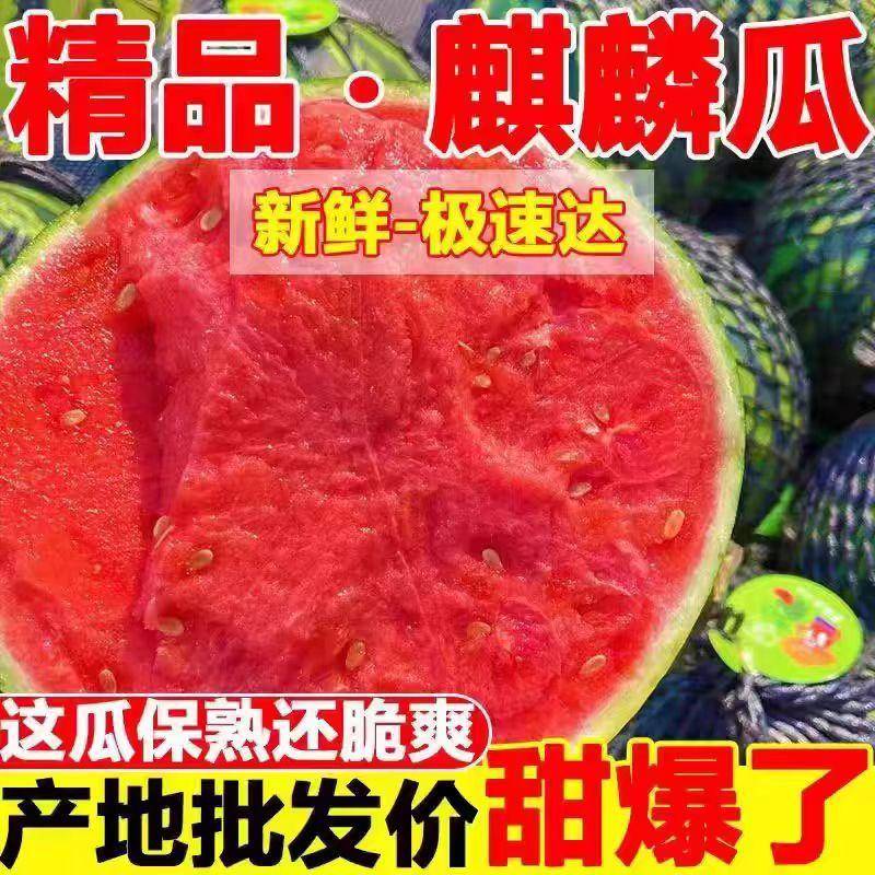 幕田家宝西瓜和甜王西瓜，哪个更甜？来尝尝就知道！