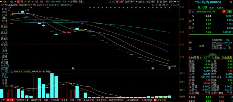 这只股票年内39个跌停