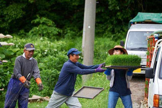 台当局向美国承诺,4年内消费100亿采购美国农产品