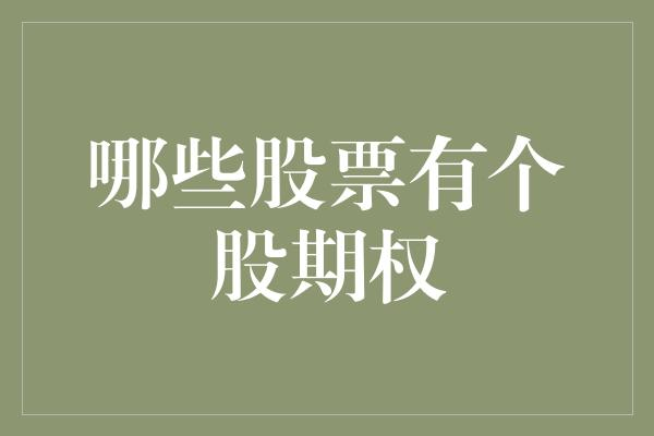 国内个股期权有哪些股票？