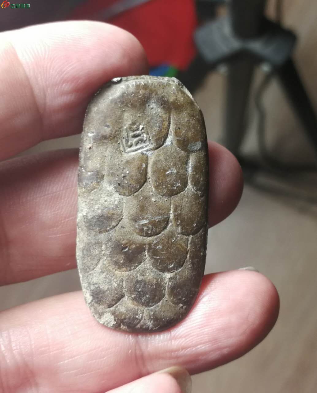 龟币(龟币是什么意思)