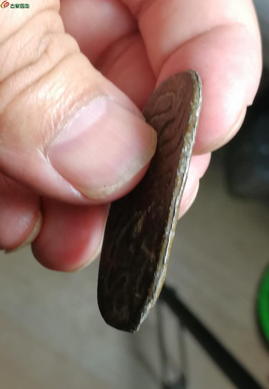 乌龟币(乌龟币币价)