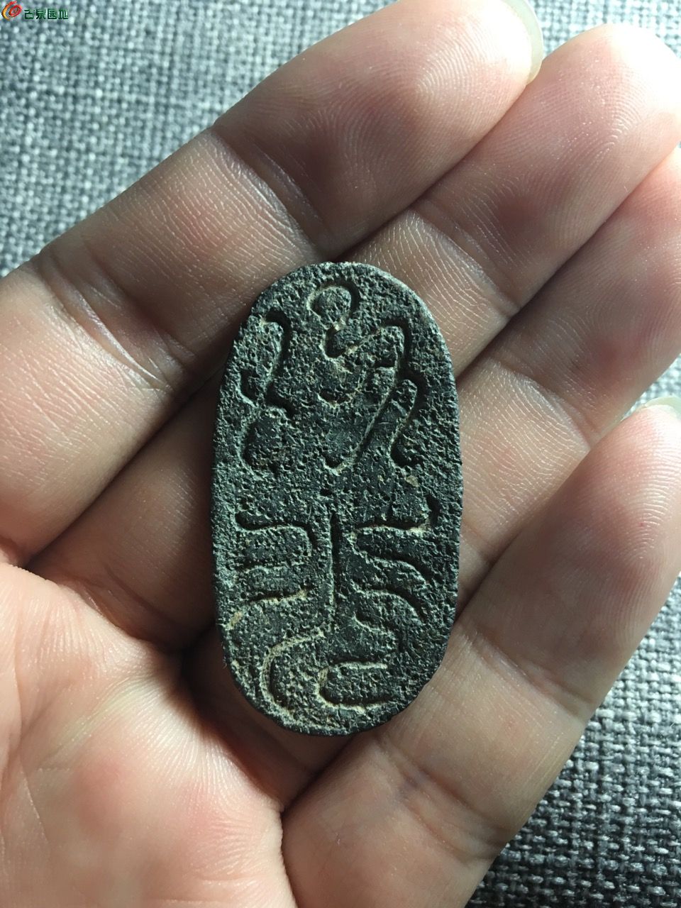 龟币(龟币价格及图片)