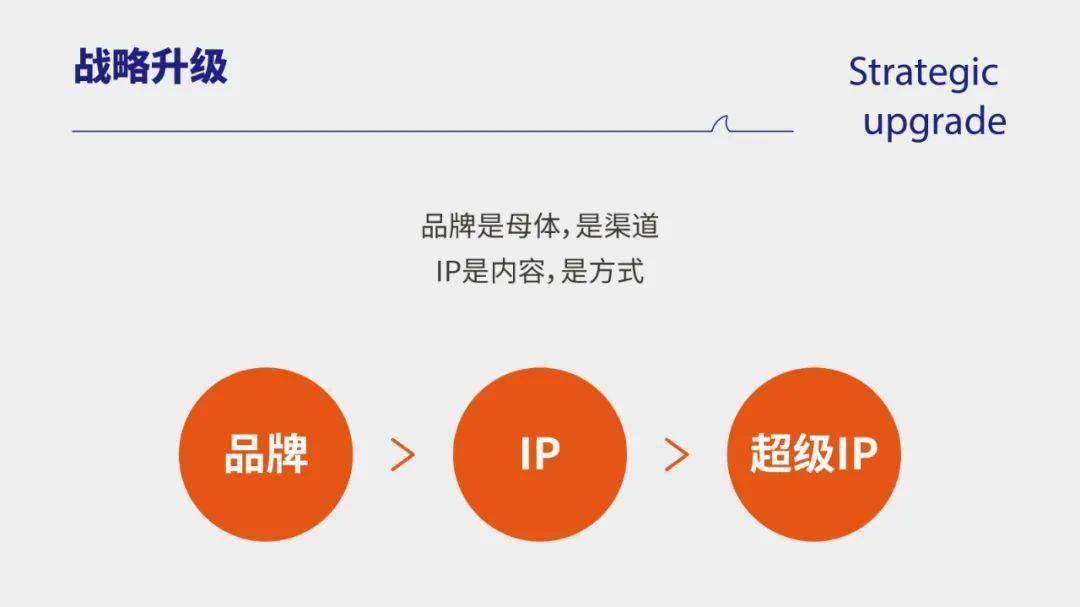 菲特币(菲特币是谁推出的)