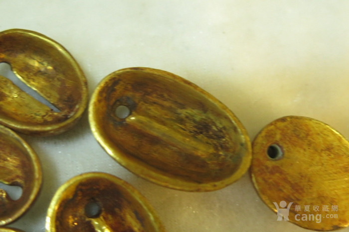 金贝币(金贝币价格)