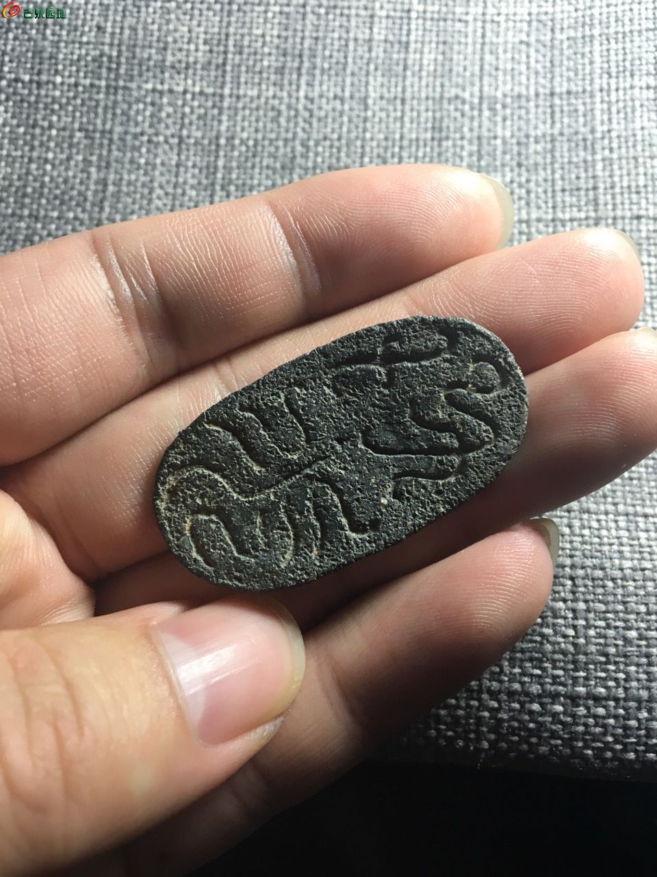 乌龟币(乌龟币怎么退)