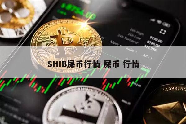 屎币(屎币最高涨了多少倍)