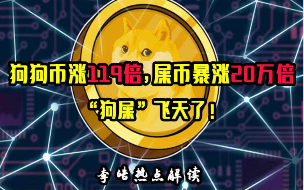 屎币(屎币最高涨了多少倍)