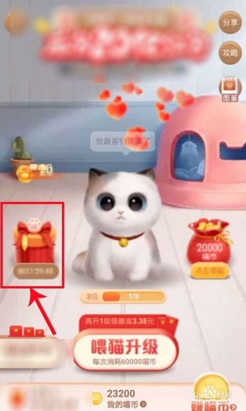 猫币充值(猫币兑换的红包怎样使用)