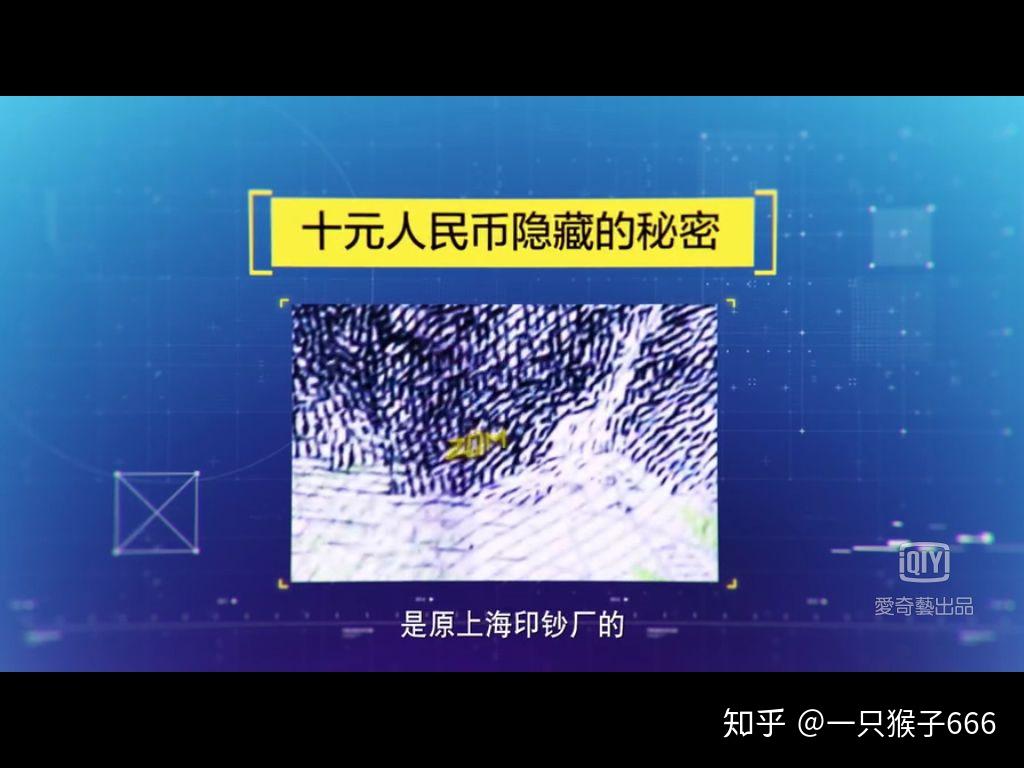 追币(追币公司)