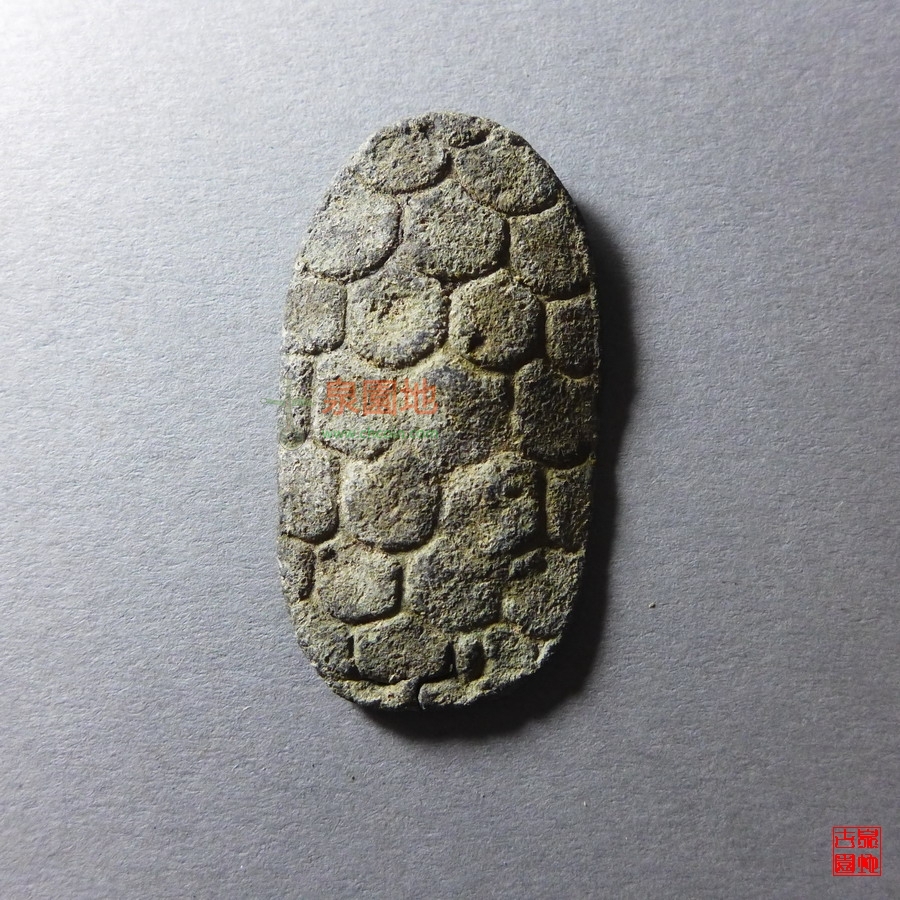 乌龟币(乌龟币充值比例是多少)