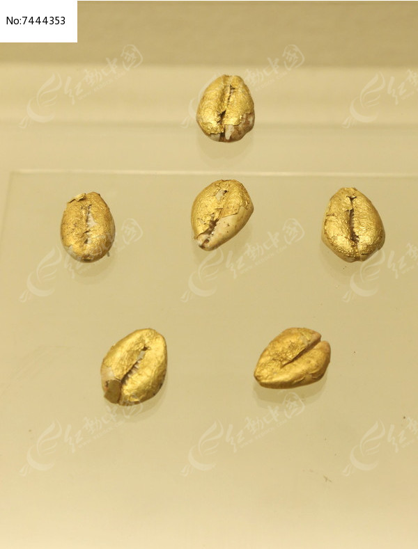 金贝币(金贝币价值多少钱)