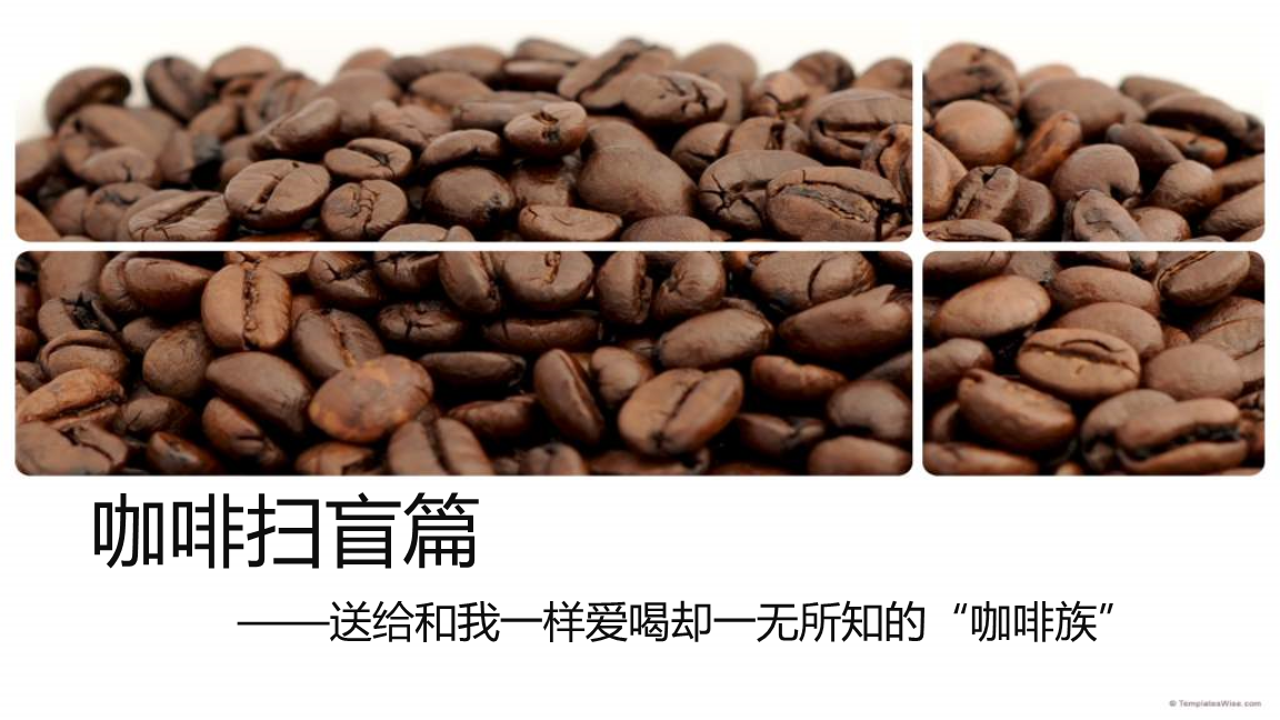 摩卡币(摩卡币是什么)