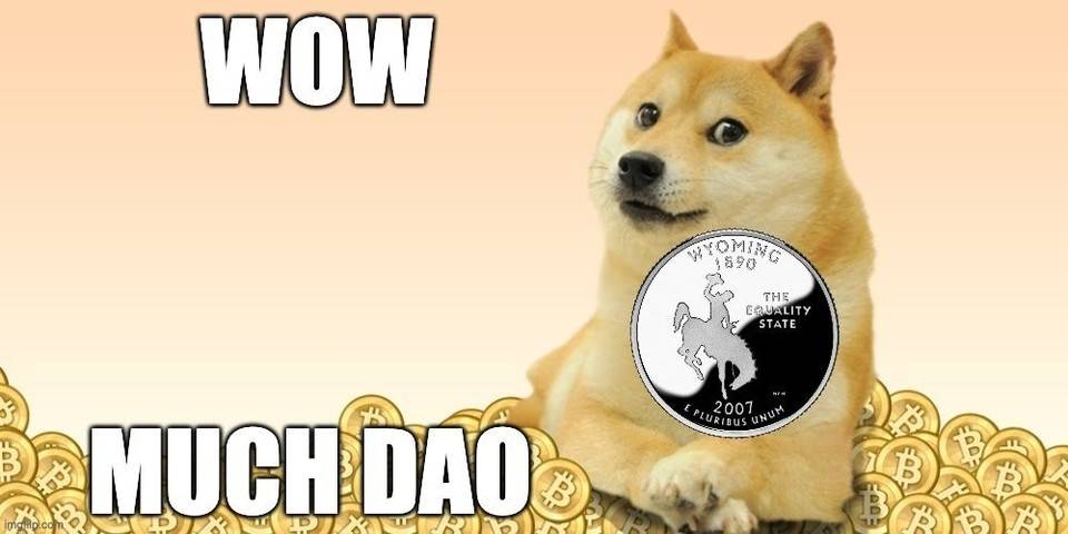 币狗行情的简单介绍