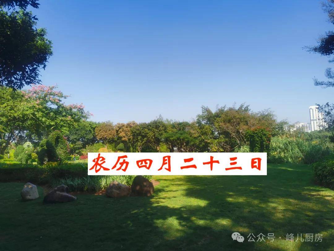农币(农历日历2024黄道吉日一览表)