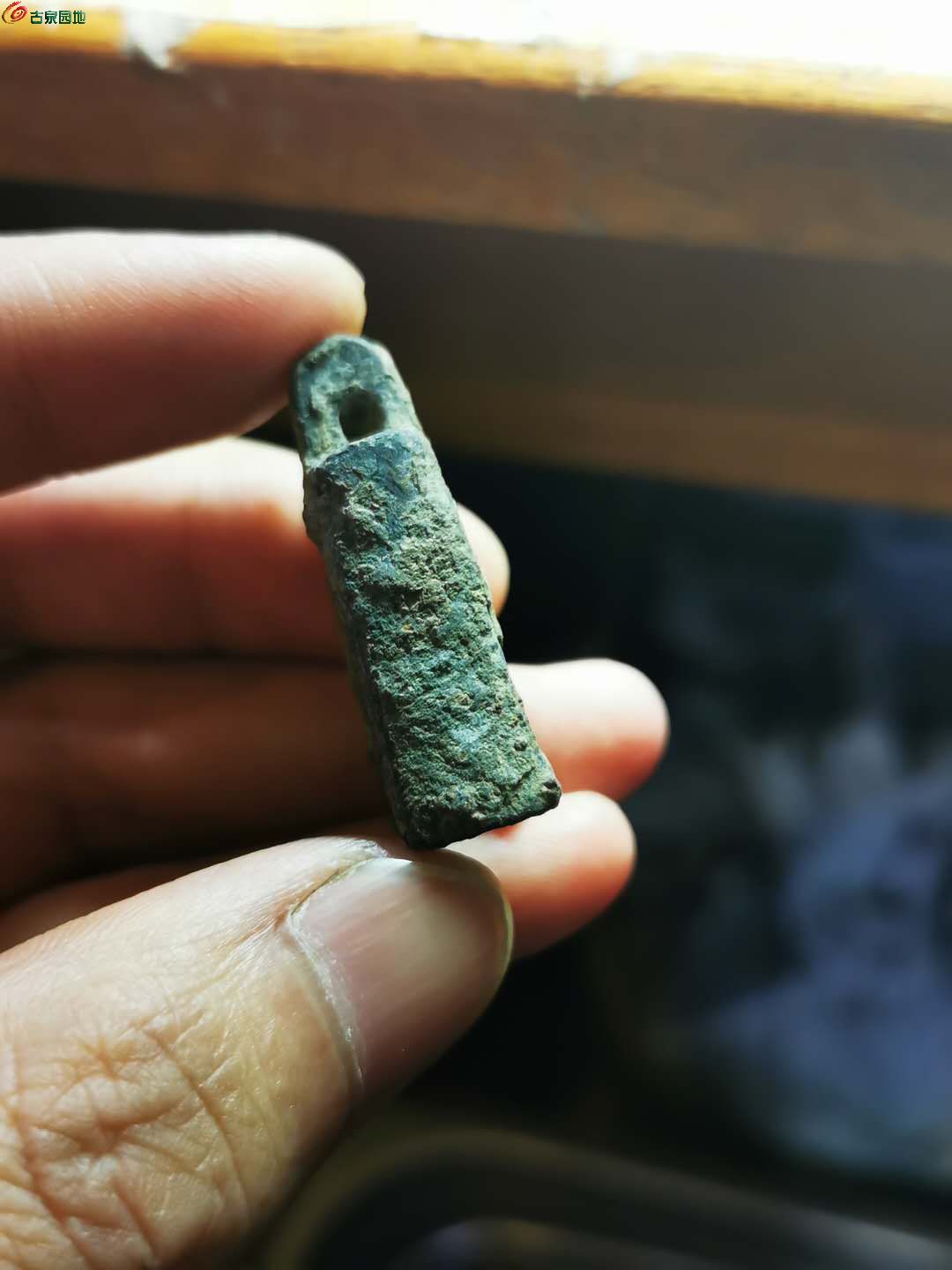 心币(心血管疾病)