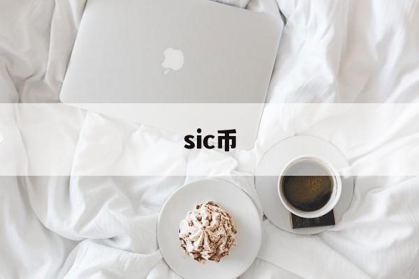 sic币(sic编码是什么)